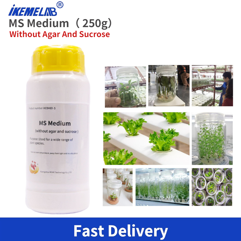 Agar Tissue Culture - 250G Phòng MS Trung Bình Mà