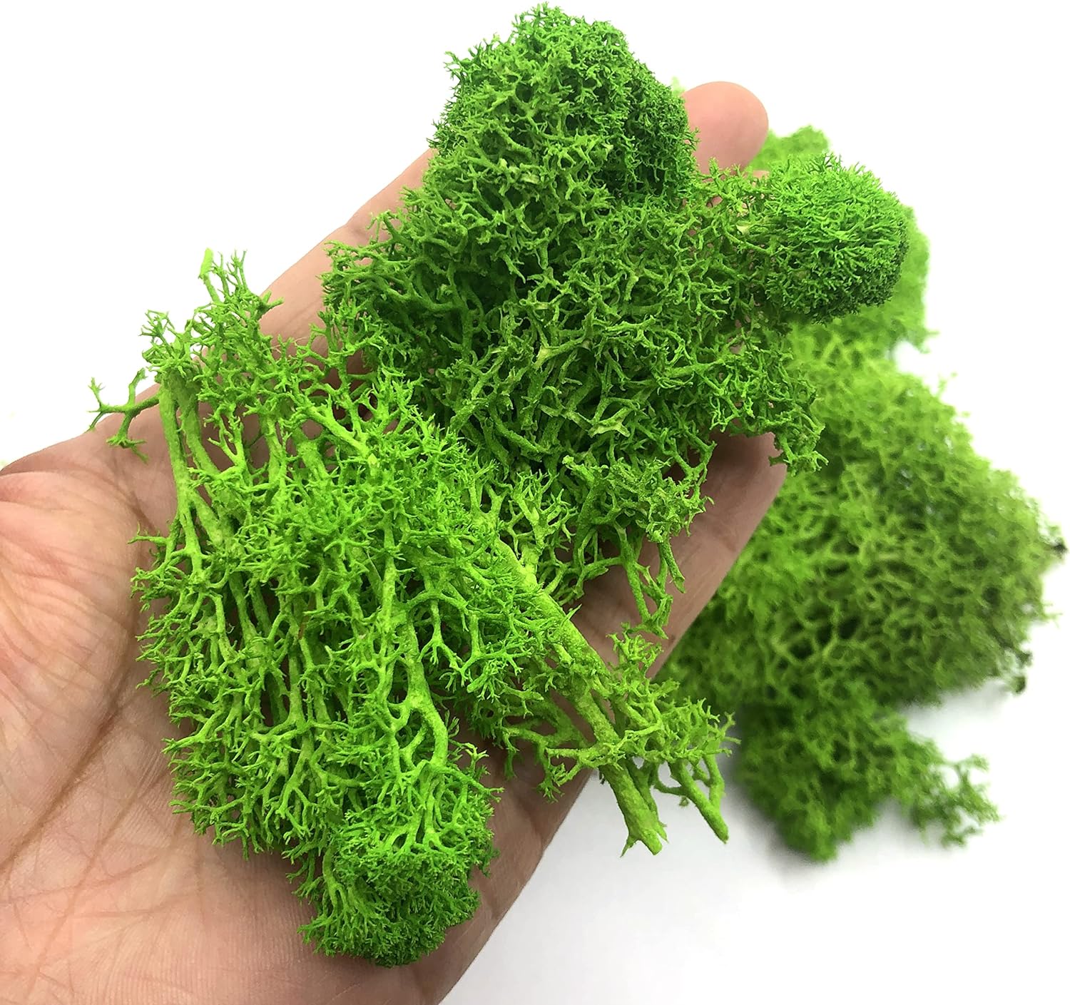 Sphagnum Moss Dry - 200g Artificial Green Plants Mini Landscape