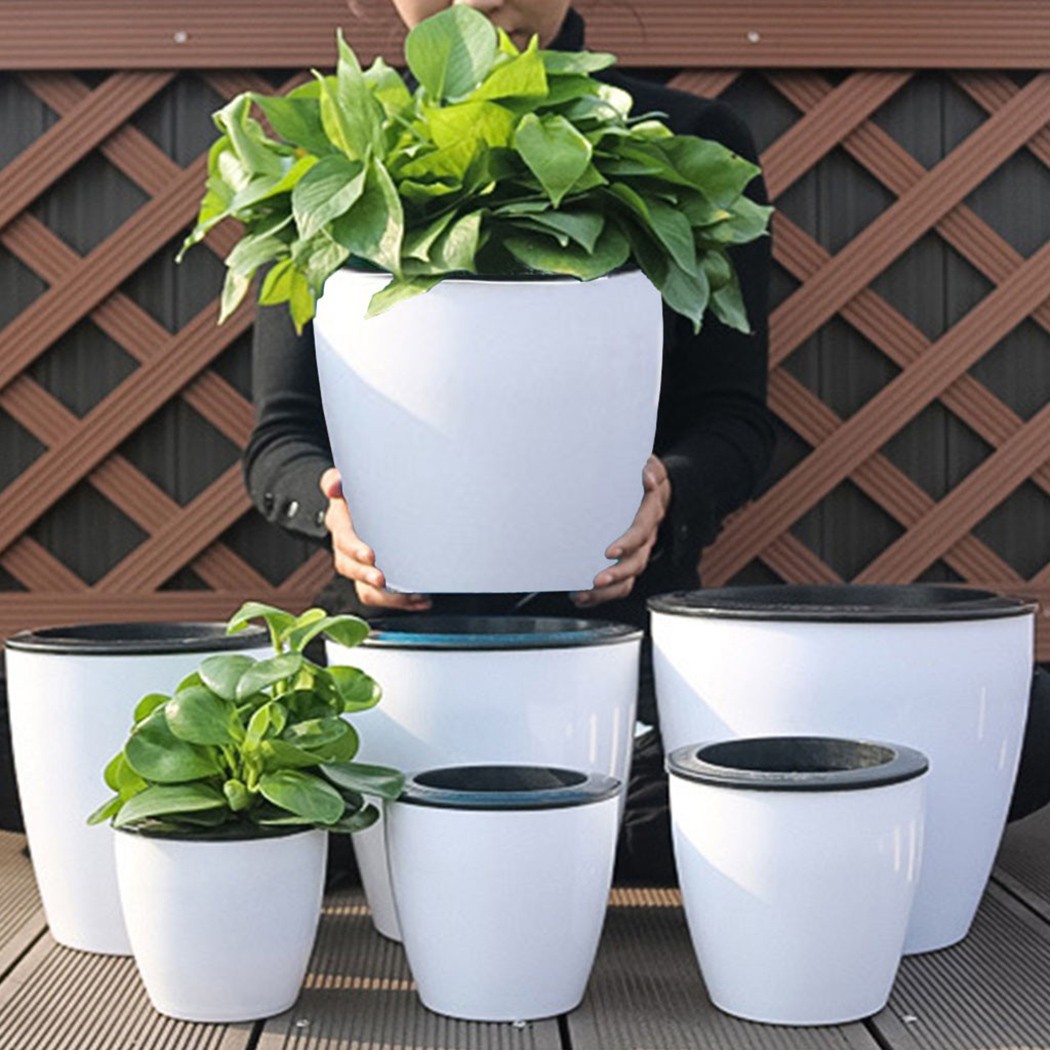 Self Watering Insert - Cây Tự Động Tưới Hoa Cây