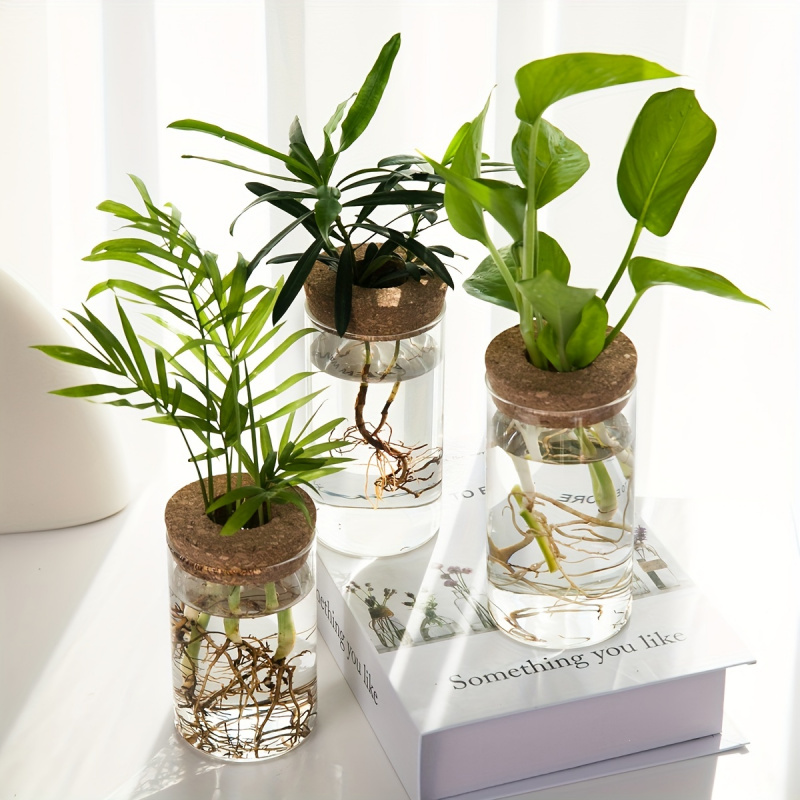 1pc, Hydroponics Plants Deskto - đánh giá và giá Propagation Station Vase