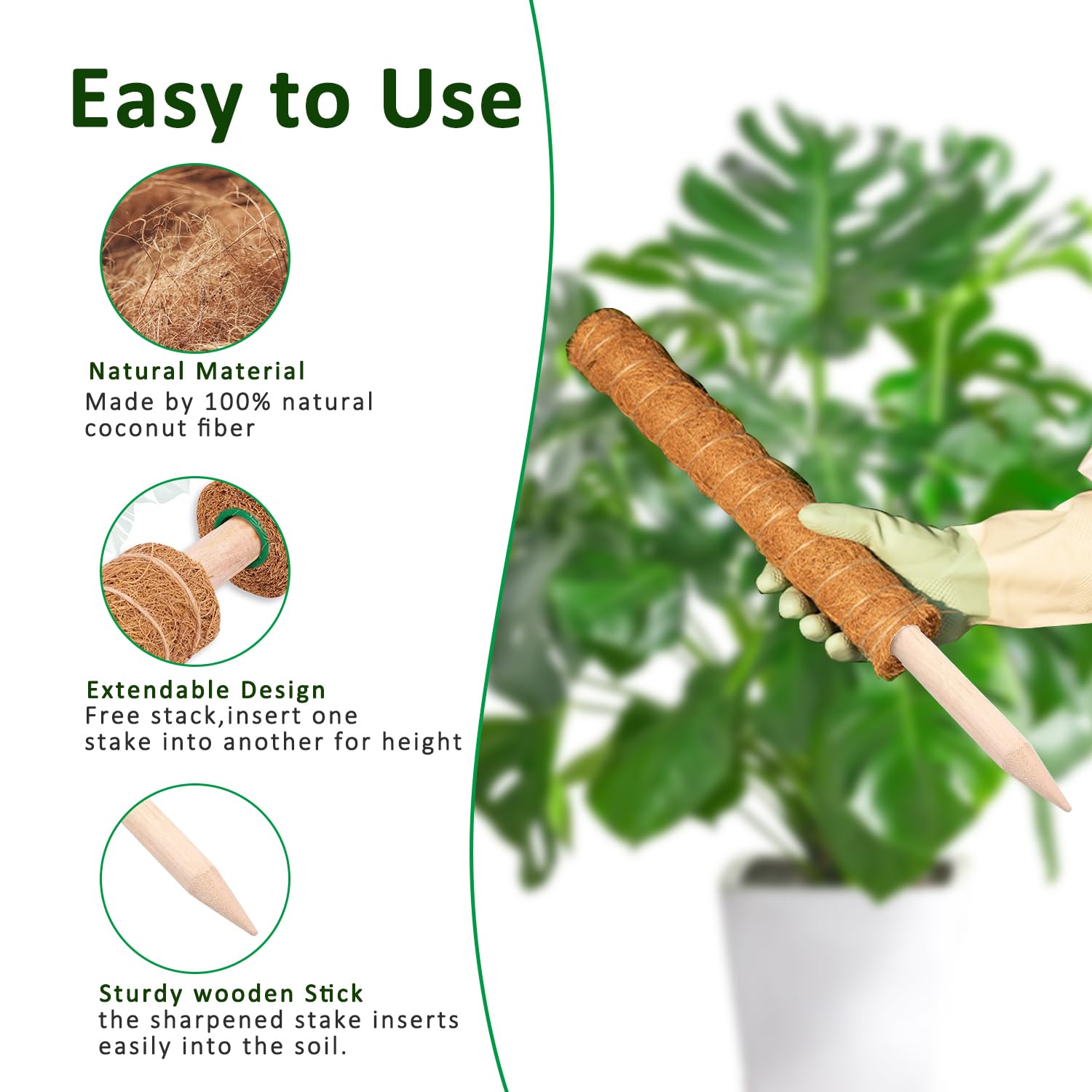 Moss Pole 38/43/53CM Monstera  - đánh giá và giá Sphagnum Moss Dry