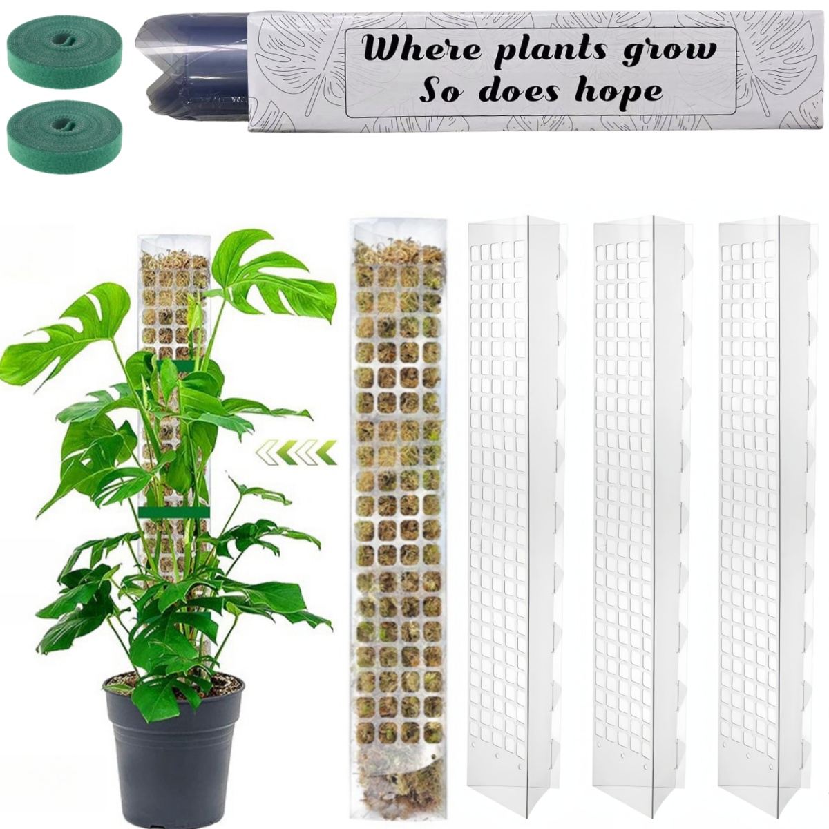 Moss Pole Plastic Plant Stand  - đánh giá và giá Sphagnum Moss Dry