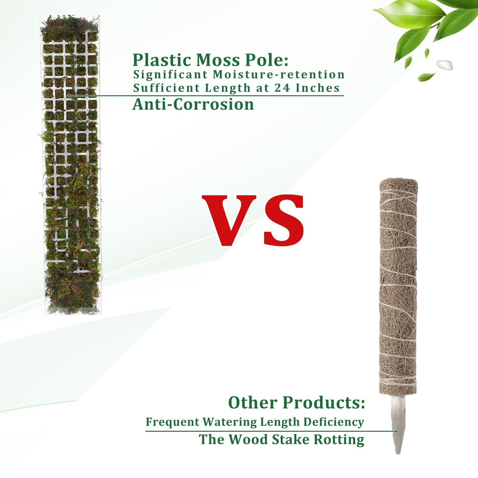 Moss Pole Plastic Plant Stand  - đánh giá và giá Sphagnum Moss Dry