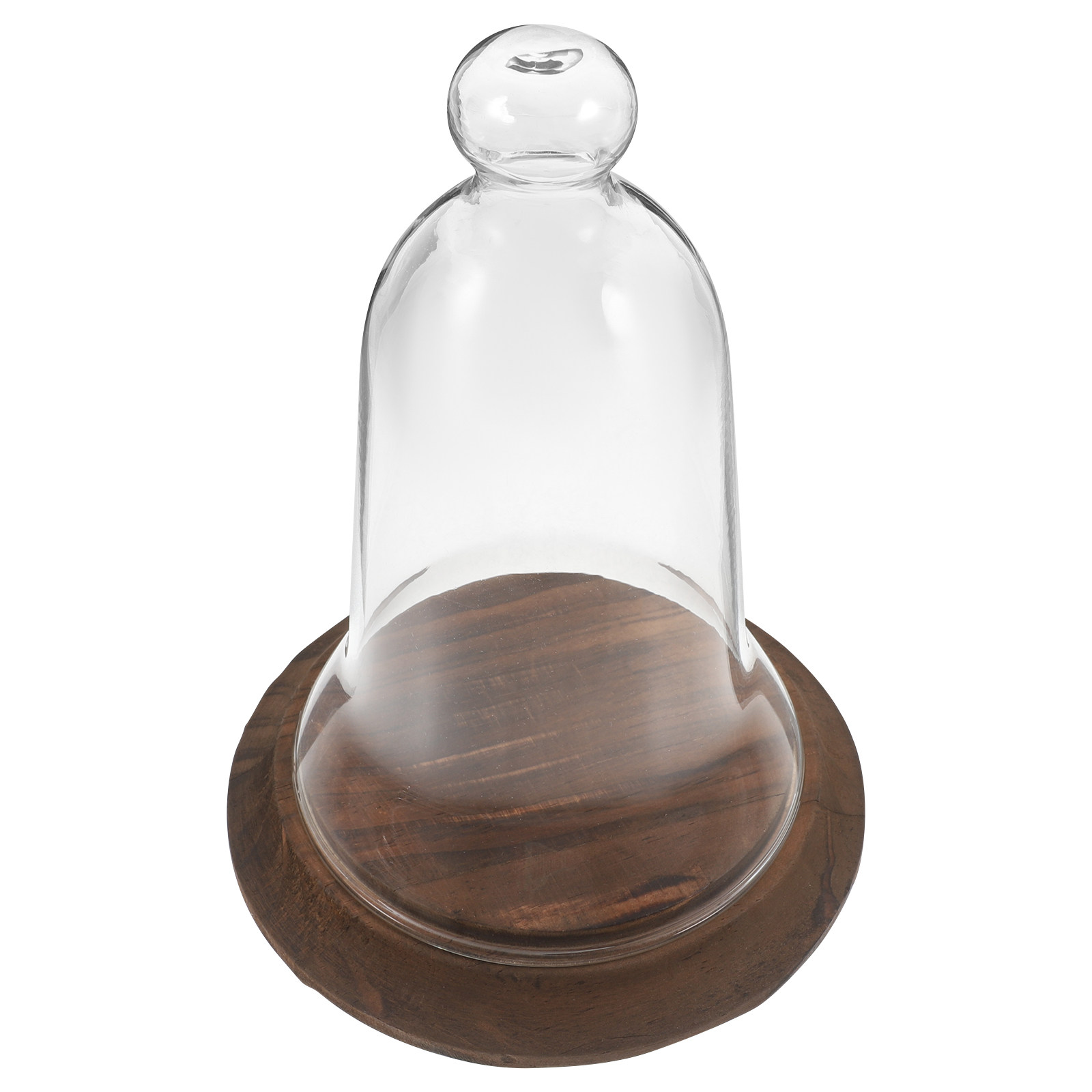 Clear Glass Cloche Dome High B - đánh giá và giá Plastic Dome Clear