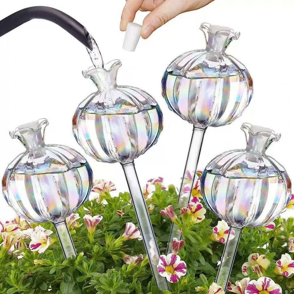 24cm Cactus Self Watering Bulb - đánh giá và giá Self Watering Insert