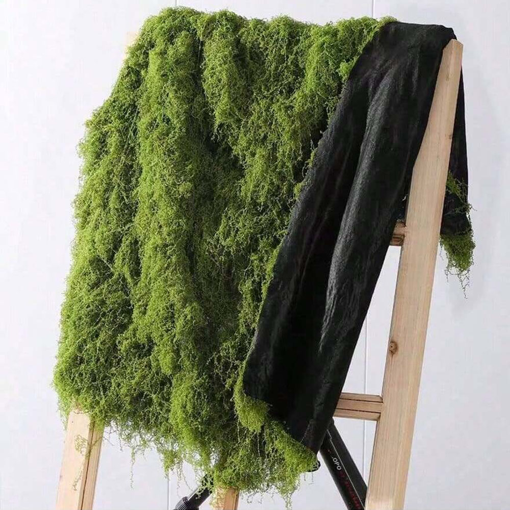 1*1m Fake Moss DIY Crafts Gras - đánh giá và giá Sphagnum Moss Dry