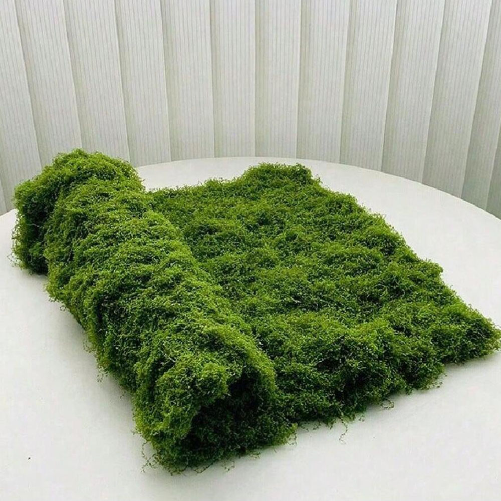 1*1m Fake Moss DIY Crafts Gras - đánh giá và giá Sphagnum Moss Dry