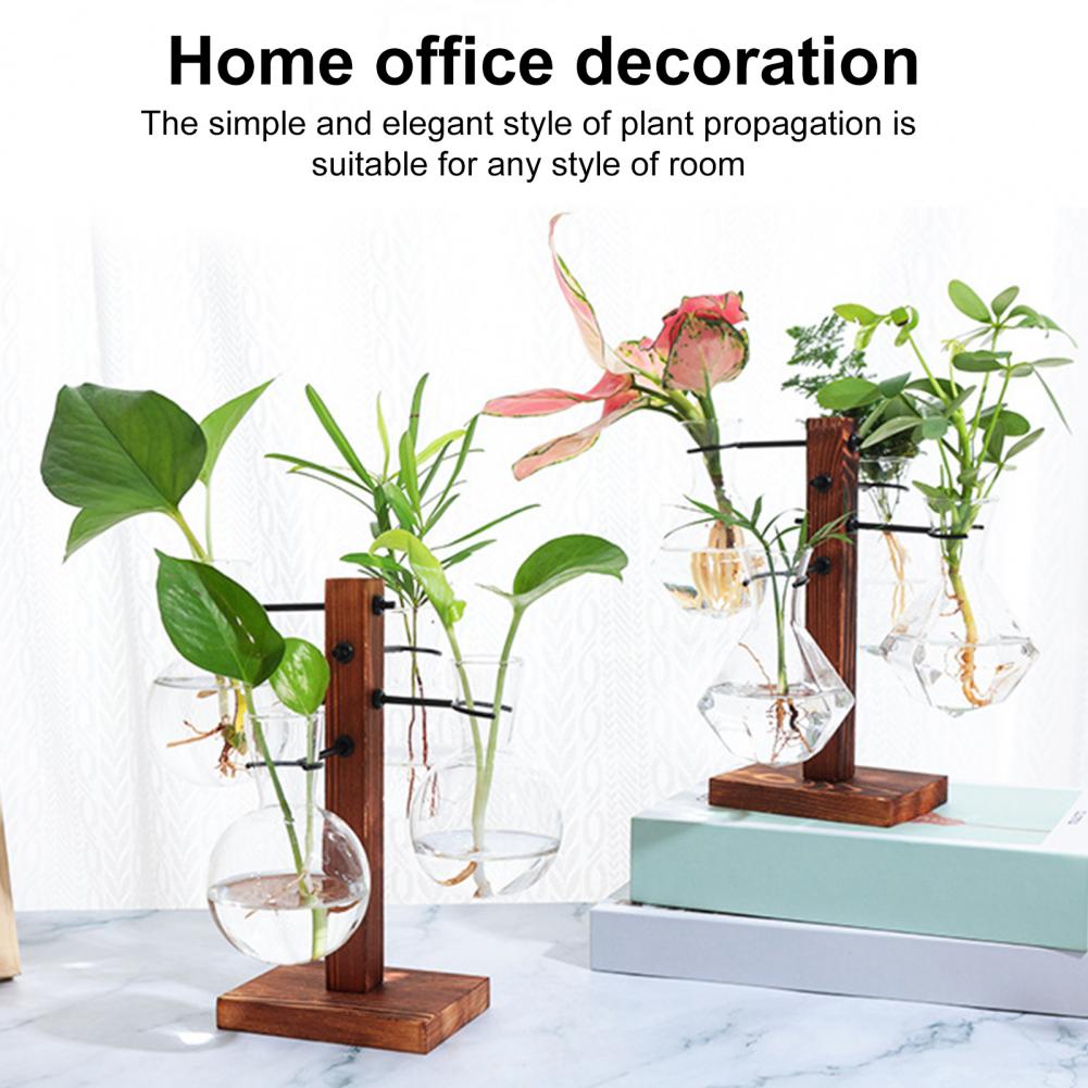 1 Set 10*25cm Plants Propagati - đánh giá và giá Propagation Station Vase