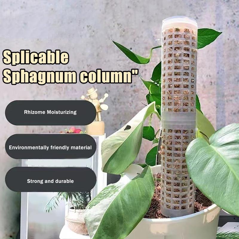 6Pcs Moss Pole Plastic Plant S - đánh giá và giá Sphagnum Moss Dry