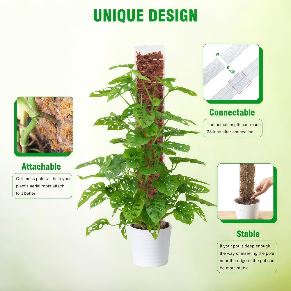 Moss Pole Plastic Plant Stand  - đánh giá và giá Sphagnum Moss Dry
